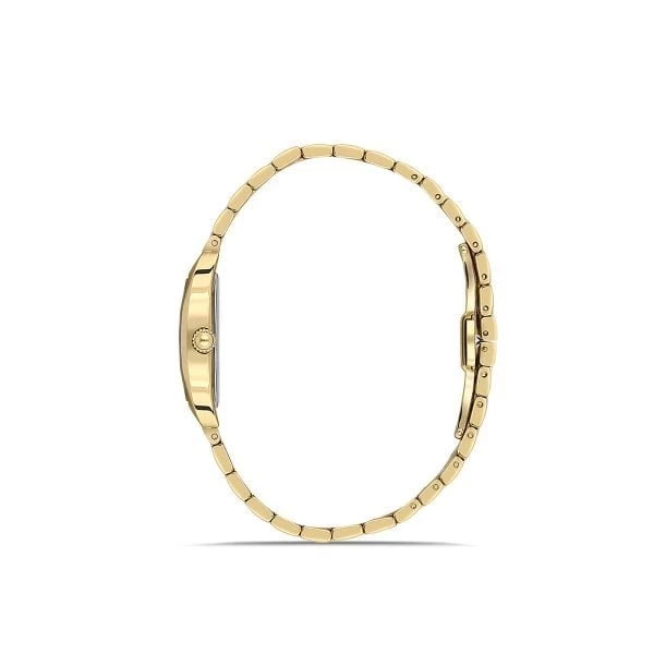 Momentus Cw310g-15sg Kadın Kol Saati