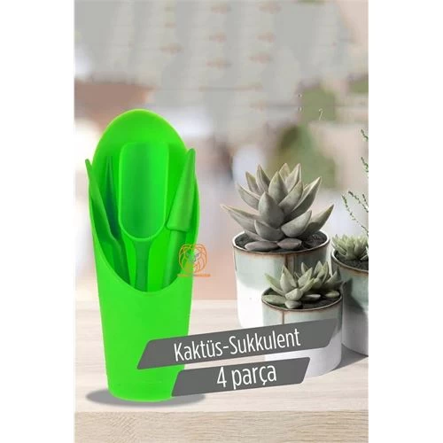 Modacar Kaktüs Sukkulent Dikim Seti