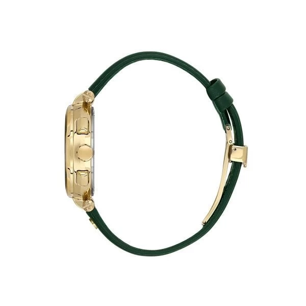 Momentus Cs263g-15bg Kadın Kol Saati