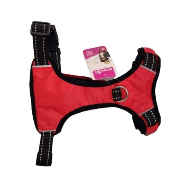 Royalist Pet Safety Harness Turuncu Göğüs Tasma