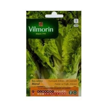 Vilmorin Yedi Kule Marul Tohumu