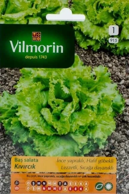 Vilmorin Kıvırcık Marul Tohumu