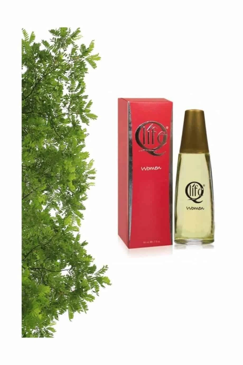 Q Life Kadın Parfüm Edt No:190 50 Ml Lady Million