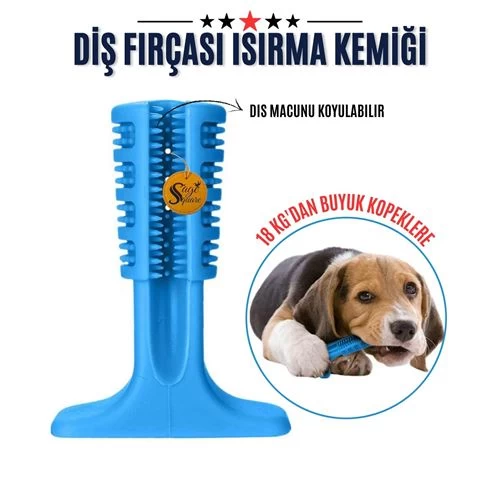 Transformacion Diş Fırçası Isırma Kemiği 18 Kg+ Macun Hazneli 714384