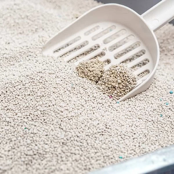 Dr.sacchi Süper Emici Aktif Karbon Topaklanan Bentonit Doğal Kedi Kumu 10 Lt