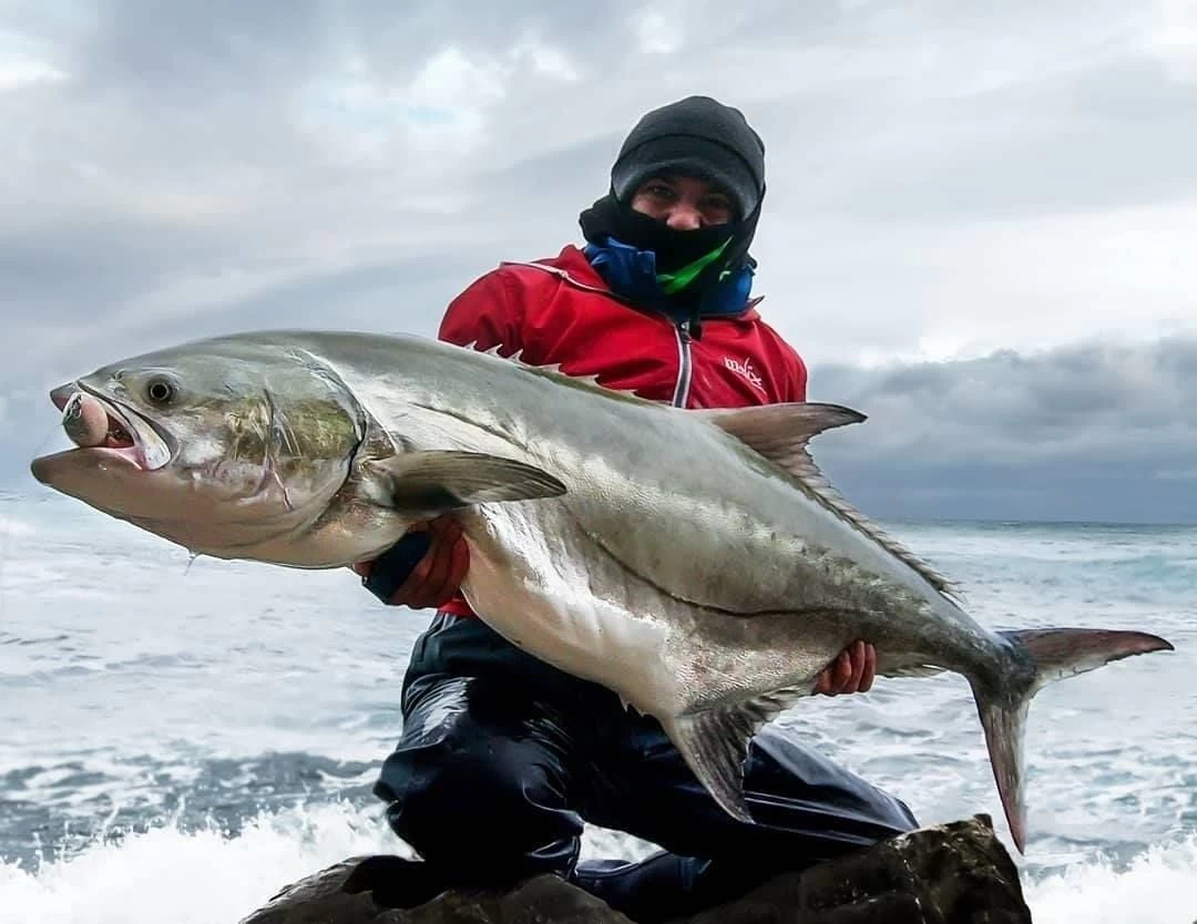 Jack Fin Argo 180-f Sahte Yem Red Bait