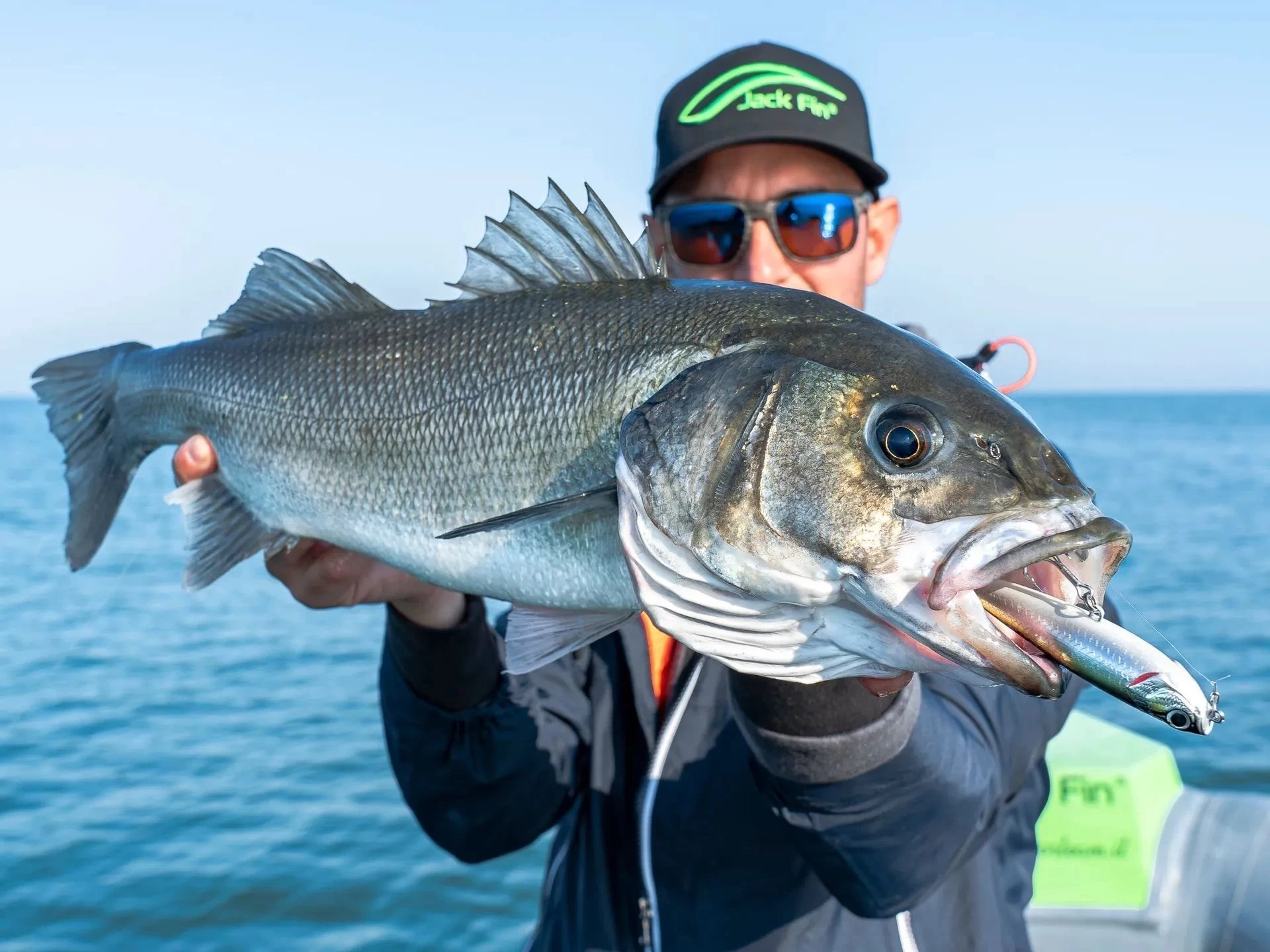 Jack Fin Salty Dog 100 Sahte Yem Silver Shad