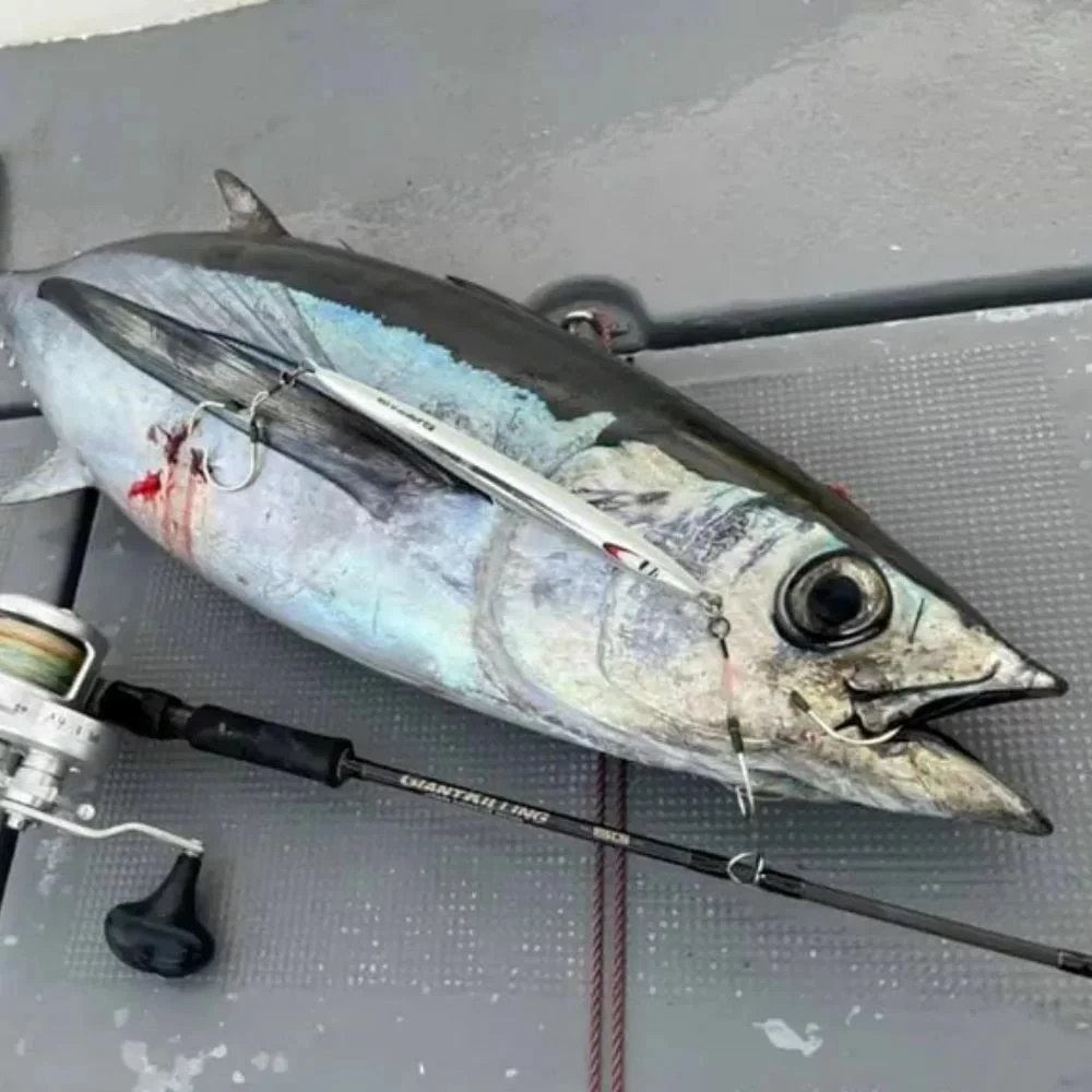 Major Craft Giant Killing New Gk5-b60h 182cm 180-300gr Tetikli Jigging Kamış