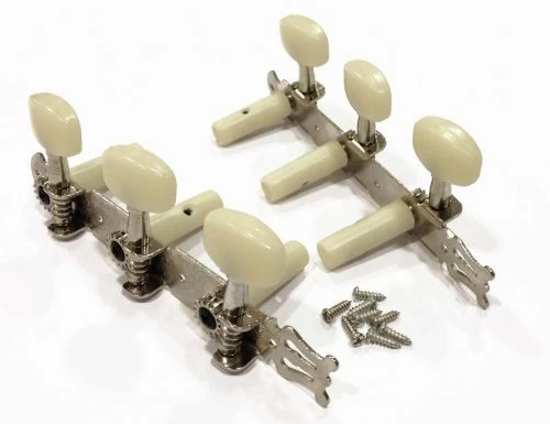 Gitar Aksesuar Klasik Burgu Takımı Cgtg