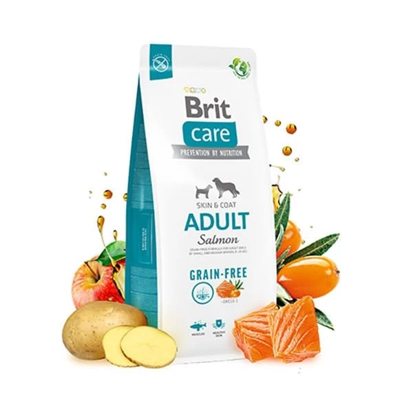 Brit Care Tahılsız Skin  Coat Somonlu Yetişkin Köpek Maması 3 Kg