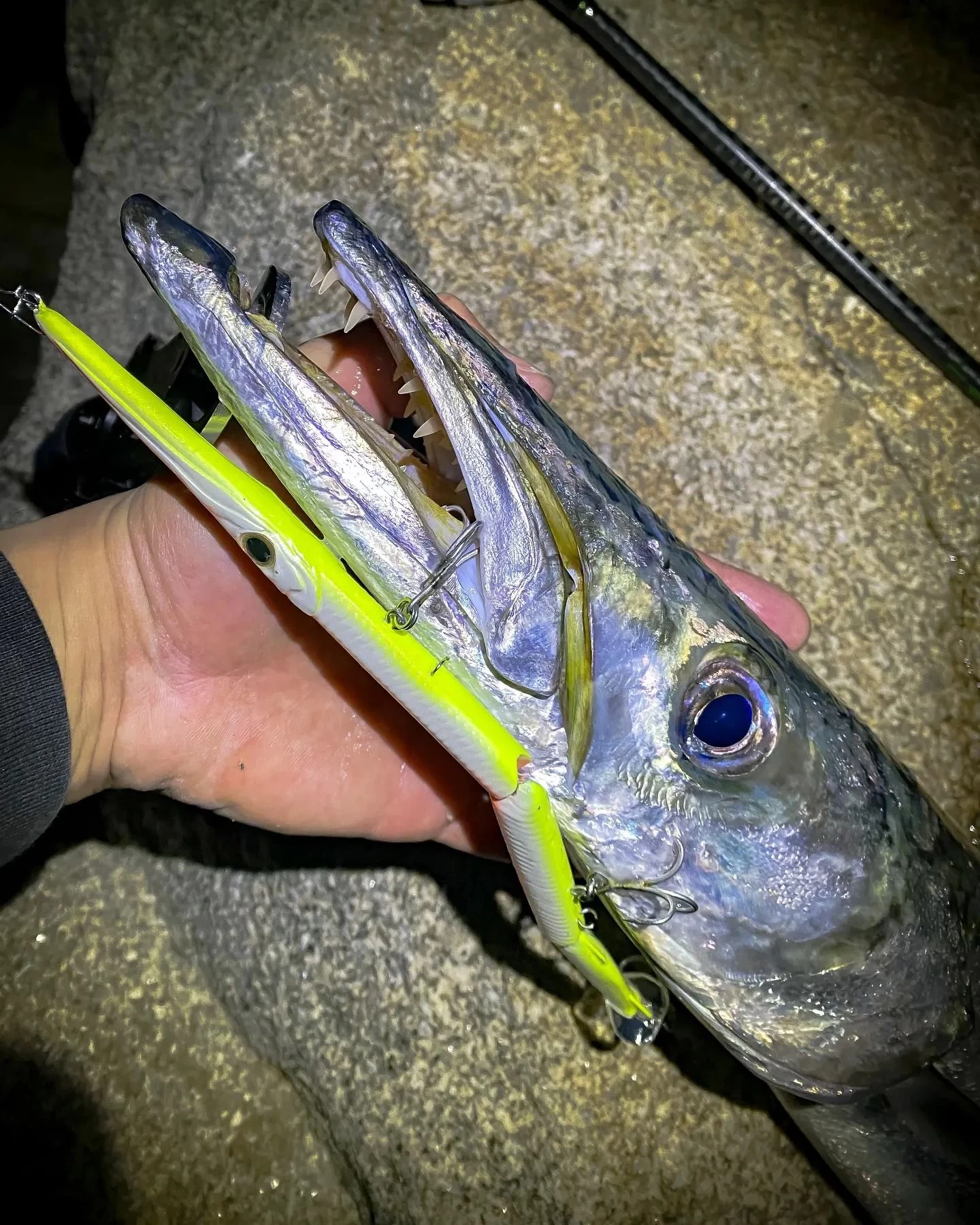 Jack Fin Stylo Jointed 255 Sahte Yem Kuda Killer