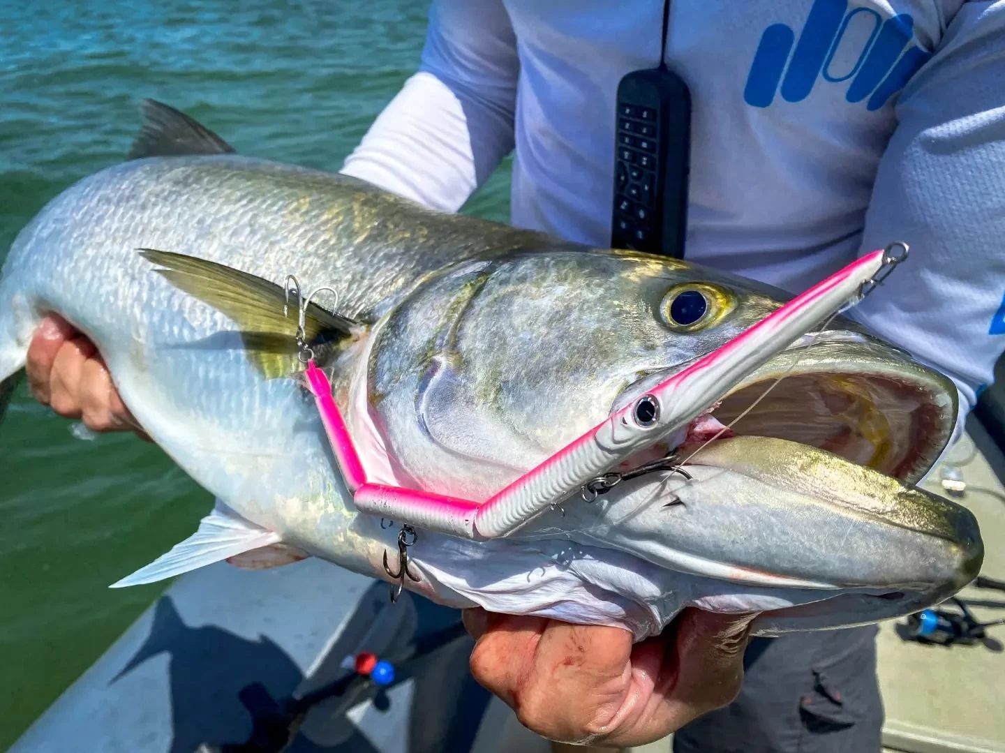 Jack Fin Stylo Jointed 255 Sahte Yem Pink Fluo