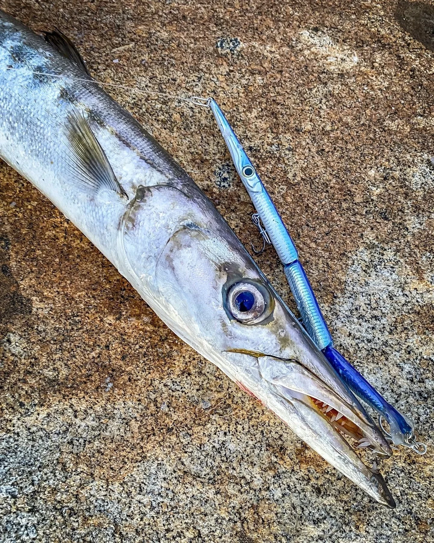 Jack Fin Stylo Jointed 255 Sahte Yem Blue