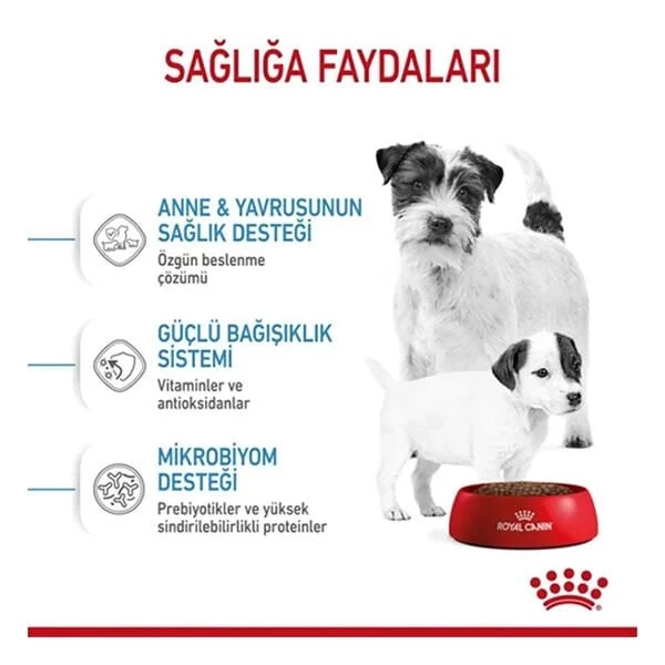 Royal Canin Mini Starter Anne Ve Yavru Köpek Maması 4 Kg