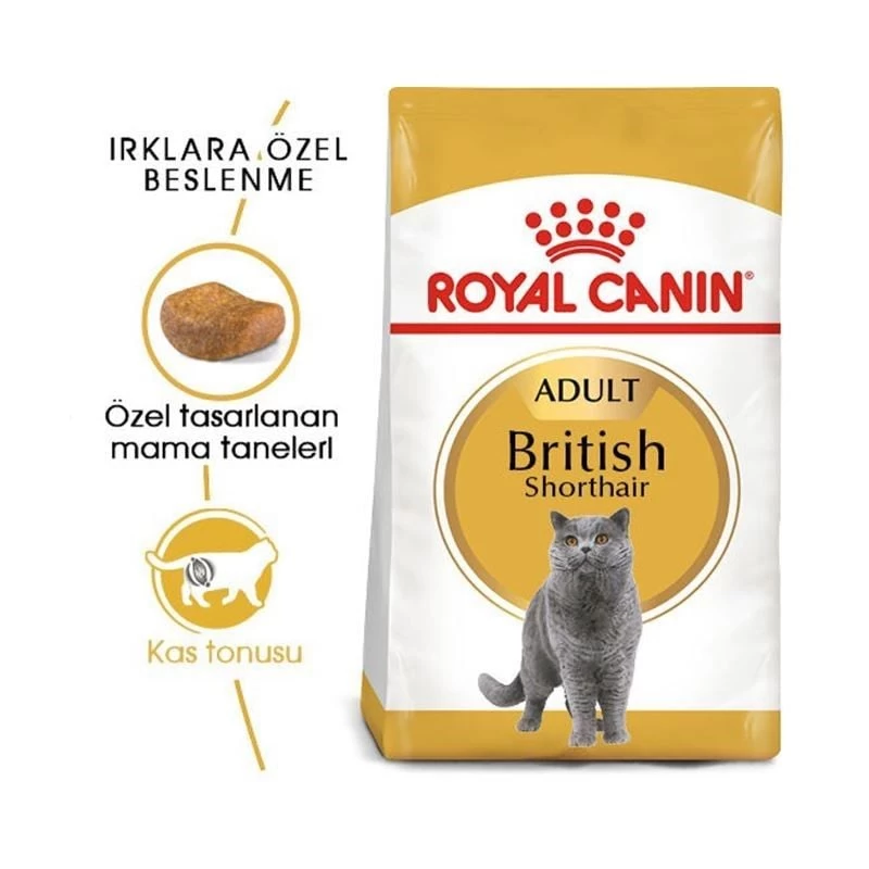 Royal Canin British Shorthair Adult Yetişkin Kedi Maması 4 Kg