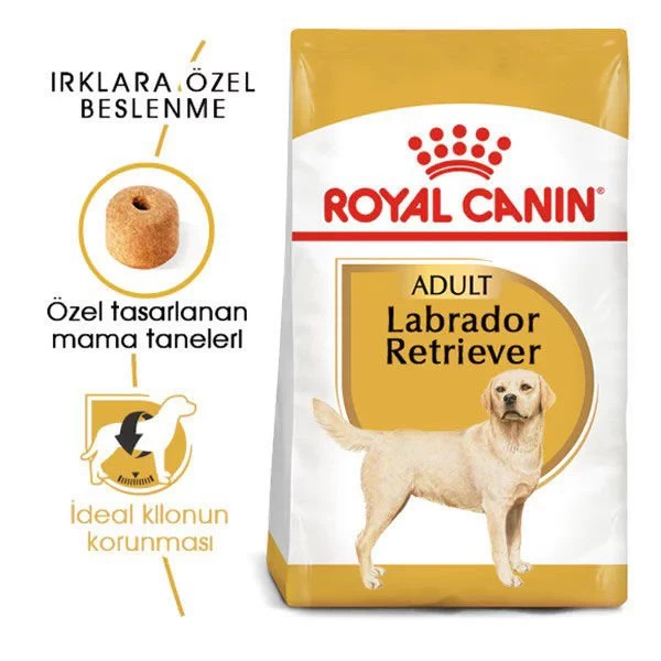 Royal Canin Labrador Retriever Yetişkin Köpek Maması 12 Kg