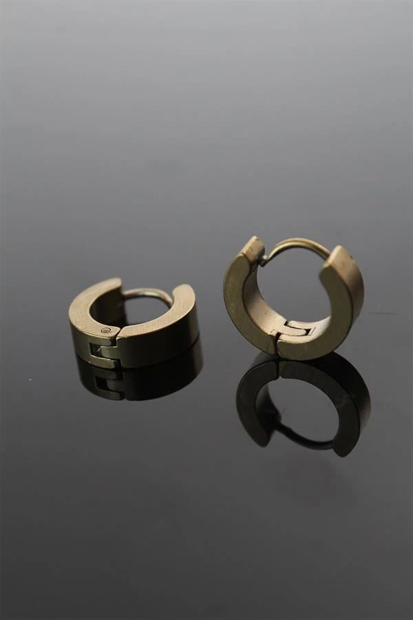 316l Çelik Gold Renk Halka Model Çift Küpe