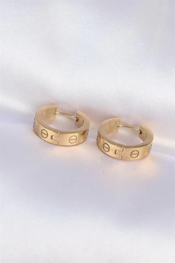 316l Çelik Gold Renk Model Halka Küpe