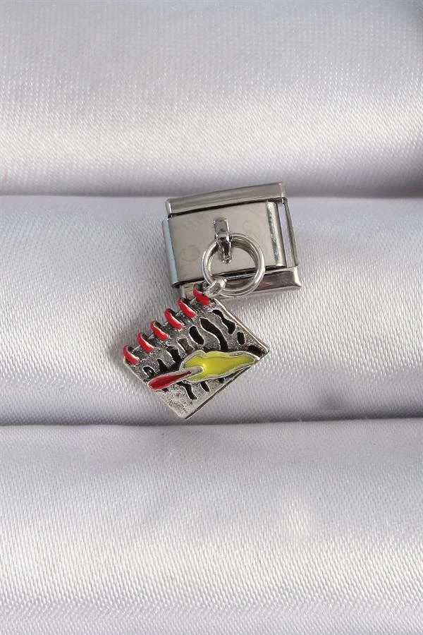 316l Çelik Gümüş Renk Sallantı Defter Figür Nomination Charm