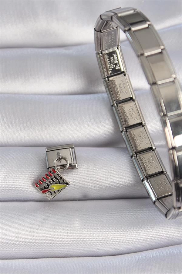 316l Çelik Gümüş Renk Sallantı Defter Figür Nomination Charm