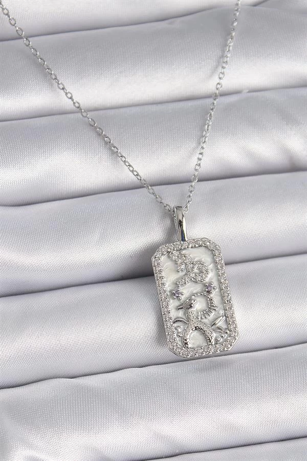 316l Çelik Gümüş Renk Zincir Oğlak Burcu Zirkon Taşlı Kadın Kolye