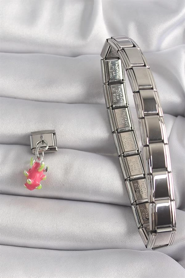 316l Çelik Gümüş Renk Sallantı Ejder Meyvesi Model Nomination Charm