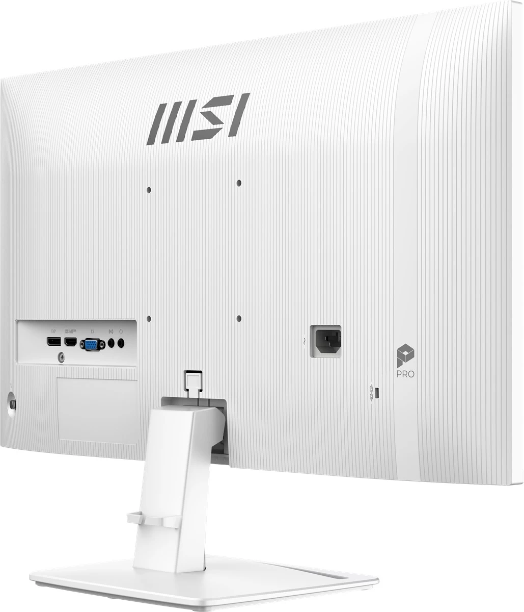 24.5 Msi Pro Mp251w E2 Ips Fhd 1ms 120hz