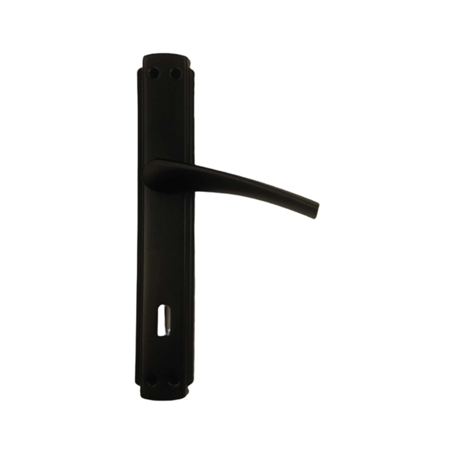 Bravo Siyah Aynali Kapi Kolu Wc