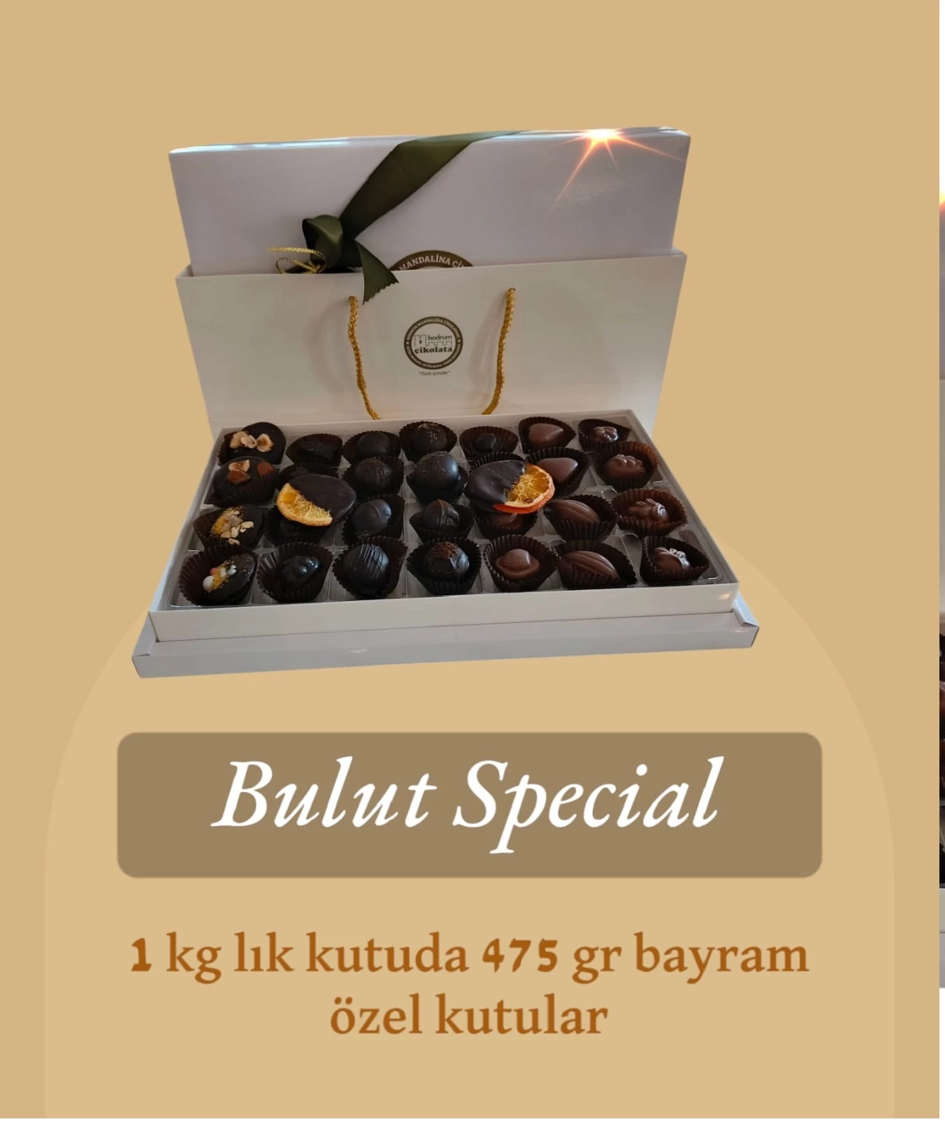Bodrum Çikolata Special Büyük Kutu-475gr