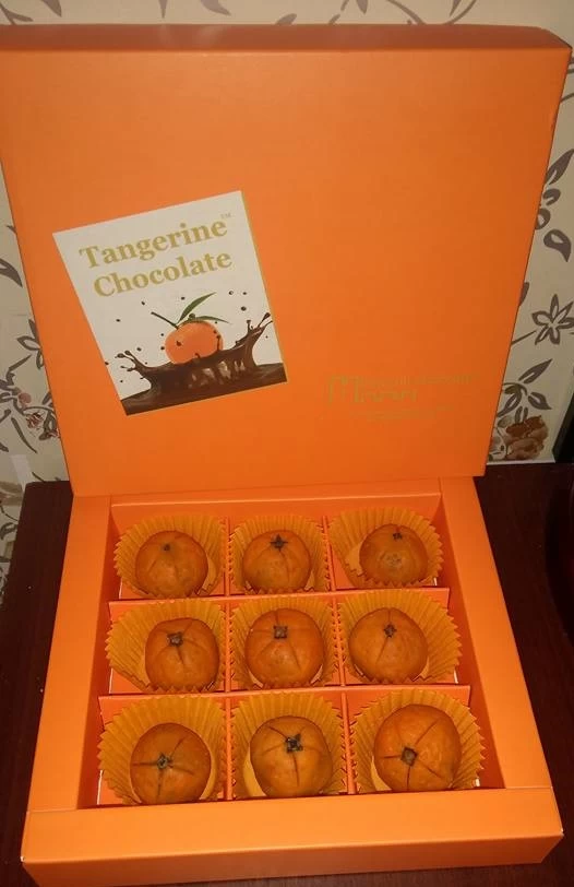 Bodrum Mandalina Çikolatası 9 Lu