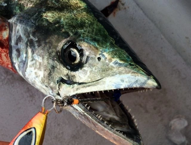 Vanfook Jigen Hyper Tekli Asist İğne Jws-51  #4/0 3 Adet