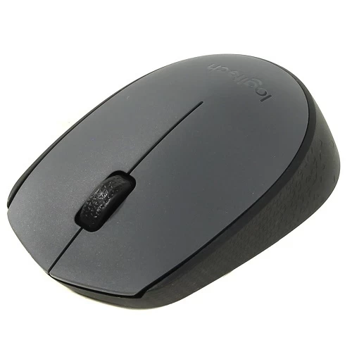 Logitech M170 Nano Mouse Kablosuz Sİyah 910-004642