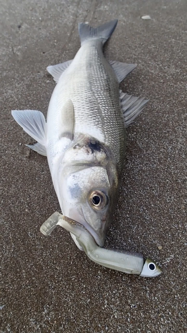 Fiiish Bm140/4 Bm030 Off Shore 40gr. Kaki Jighead